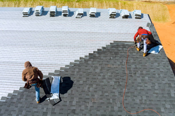 Best Roof Repair Services  in Silver Bay, MN