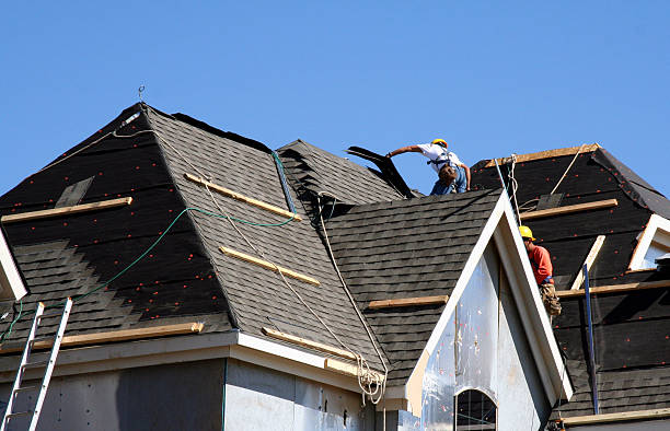 Best Metal Roofing Contractor  in Silver Bay, MN